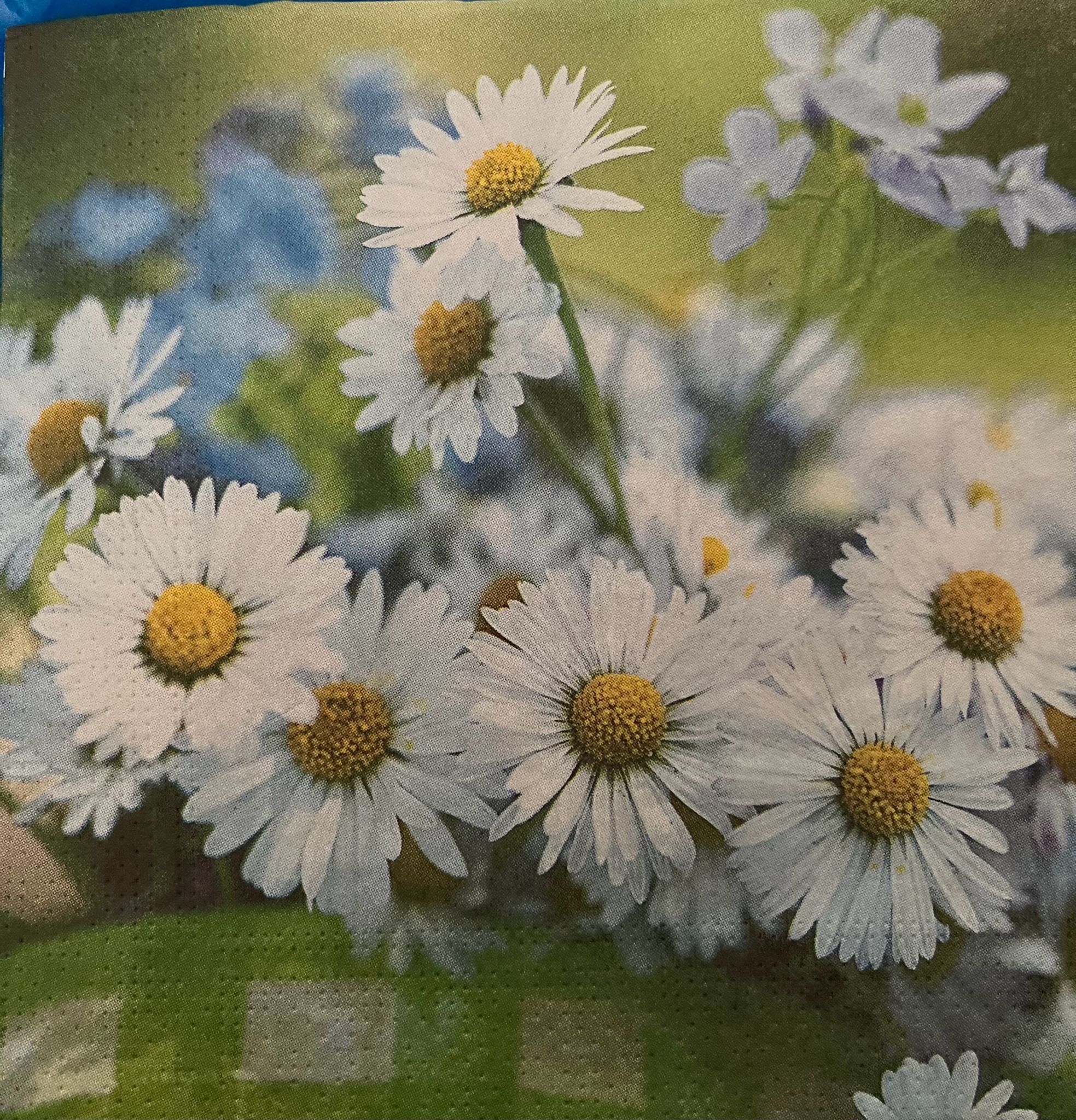 Diseño de servilleta número 7 para personalización de bandejas mediante decoupage en PauFe Studio